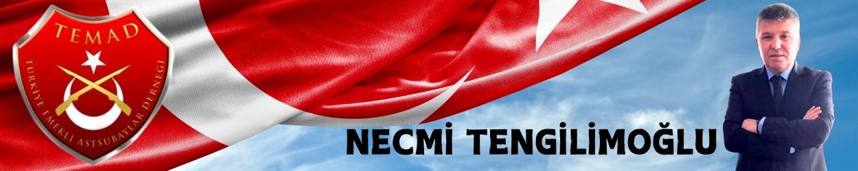 Necmi TENGİLİMOĞLU